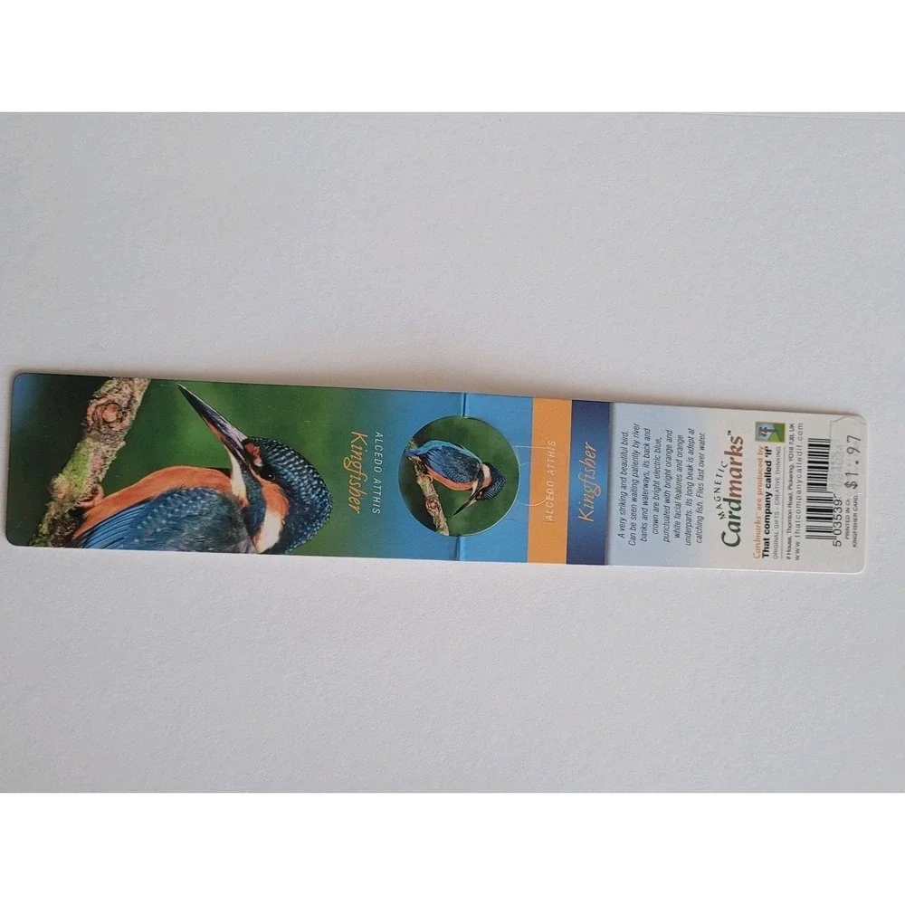 Cardmarks Kingfisher Bird Wild Nature Magnetic Magnet UK Company If 2402 Y2k 00s